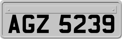 AGZ5239