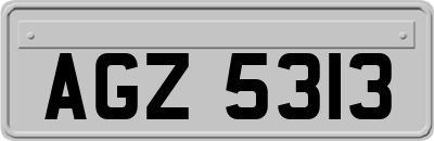 AGZ5313