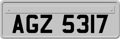 AGZ5317