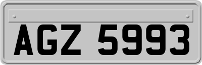 AGZ5993