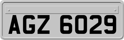 AGZ6029