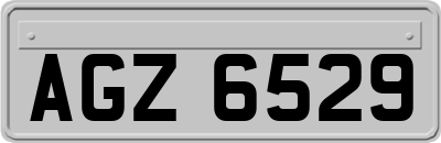AGZ6529
