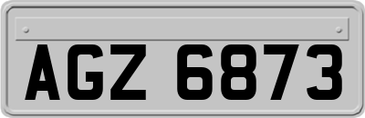 AGZ6873