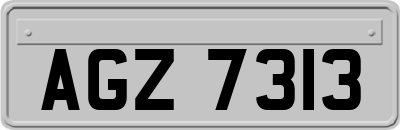 AGZ7313
