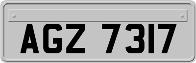 AGZ7317