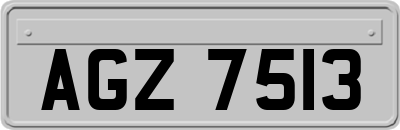 AGZ7513