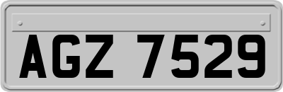 AGZ7529