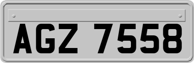 AGZ7558