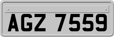 AGZ7559