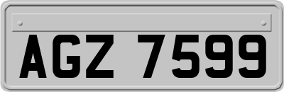 AGZ7599
