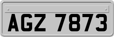 AGZ7873