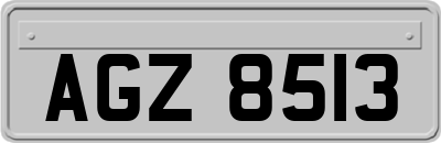 AGZ8513