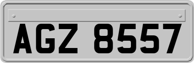 AGZ8557