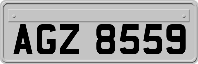 AGZ8559