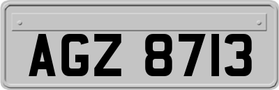 AGZ8713