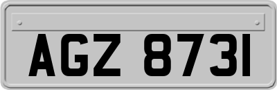 AGZ8731