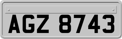 AGZ8743