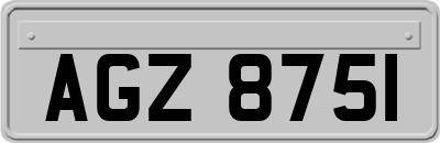 AGZ8751