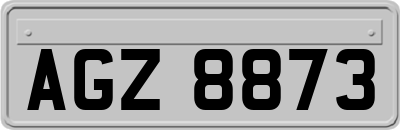 AGZ8873