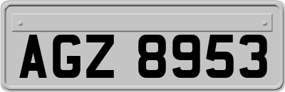 AGZ8953
