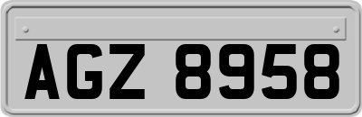 AGZ8958
