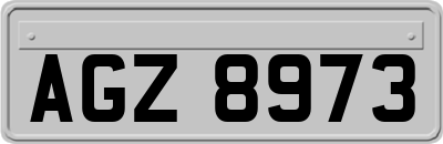 AGZ8973