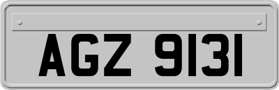 AGZ9131