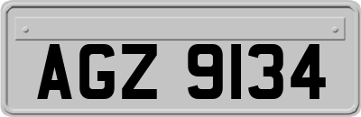 AGZ9134