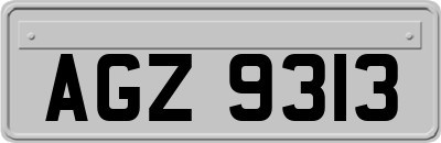 AGZ9313