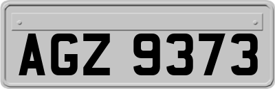 AGZ9373