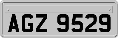 AGZ9529