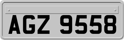 AGZ9558