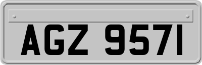 AGZ9571