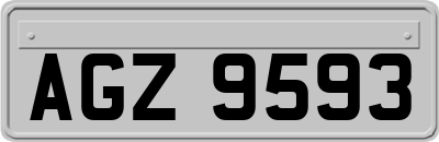 AGZ9593