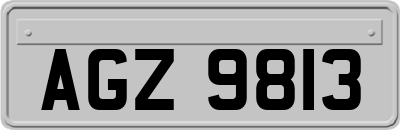 AGZ9813
