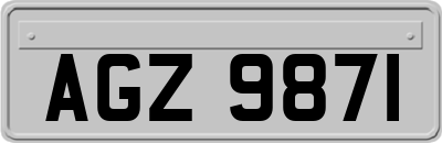 AGZ9871