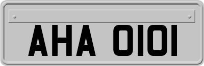 AHA0101