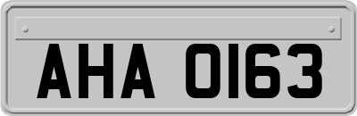 AHA0163