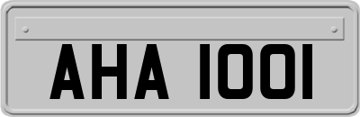 AHA1001
