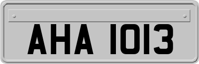 AHA1013