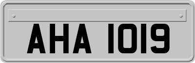 AHA1019