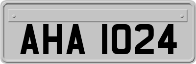 AHA1024