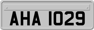 AHA1029