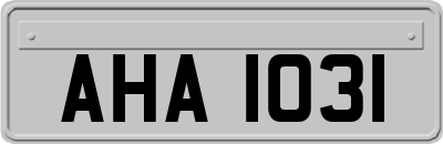 AHA1031