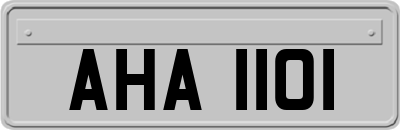 AHA1101