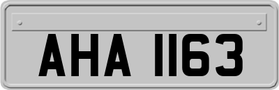 AHA1163
