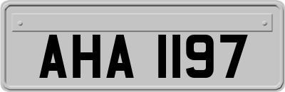 AHA1197
