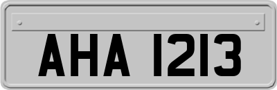AHA1213