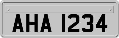 AHA1234