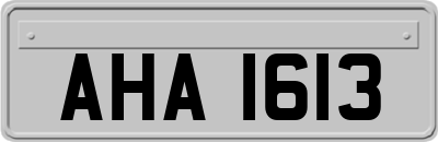 AHA1613